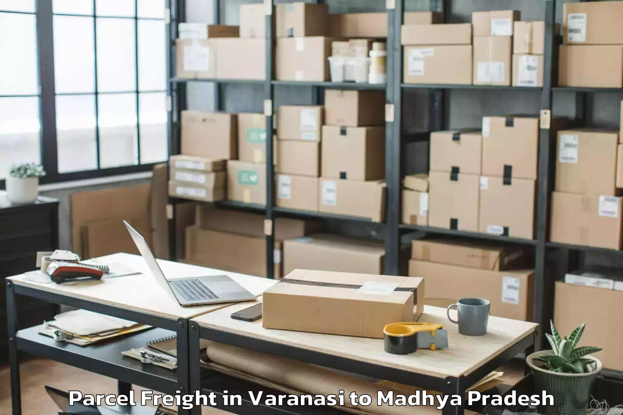 Book Varanasi to Baldeogarh Parcel Freight Online